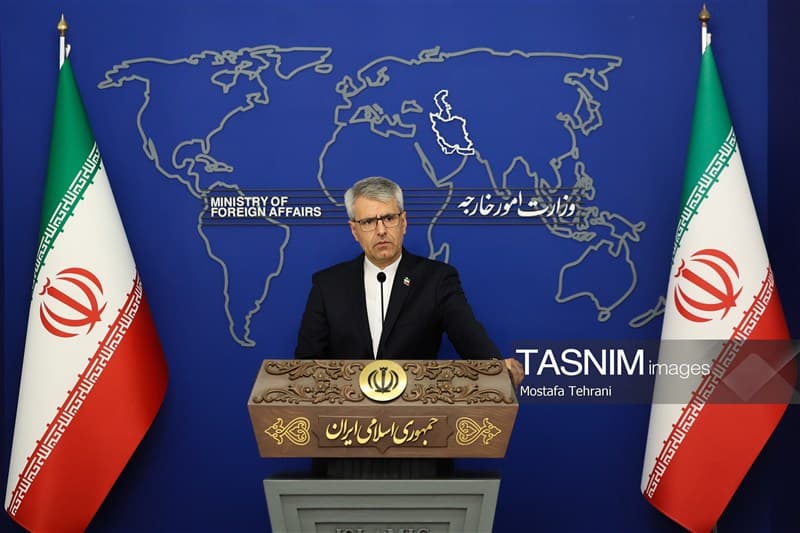 تصویر خبر: بقائی: دیپلماسی و توان دفاعی مکمل یکدیگر در احقاق حقوق ملت ایران هستند