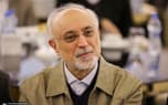 تصویر خبر: علی‌اکبر صالحی: درخشش جهانی حافظ جلوه‌ای از ظرفیت فرهنگ ایرانی برای گفت‌وگو با جهان است