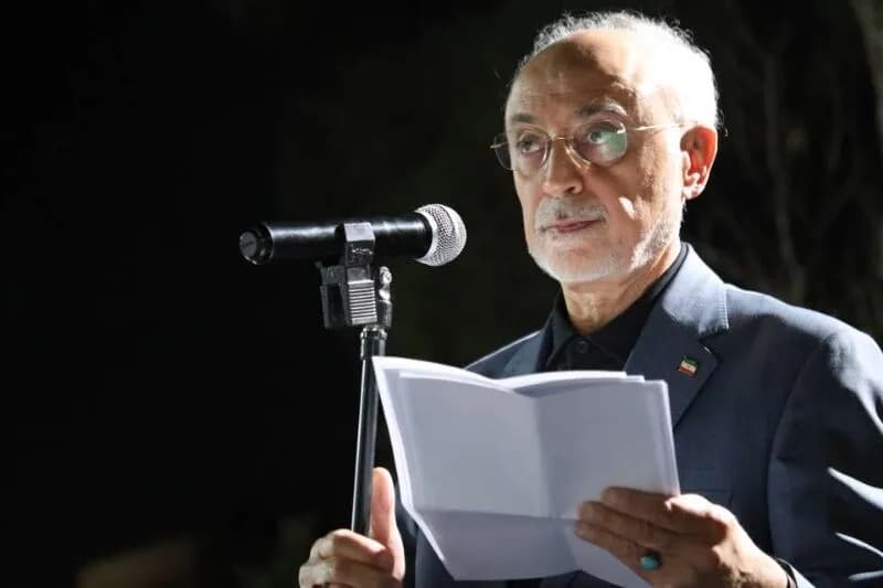تصویر خبر: صالحی: با یک گفت‌وگوی صریح می‌شود از تنش در روابط دیپلماتیک جلوگیری کرد