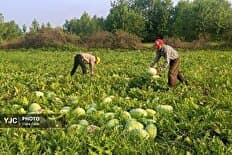تصویر خبر: تعیین شرایط اقساط هزینه آماده‌سازی مسکن ملی قنوات بر اساس دهک‌های درآمدی