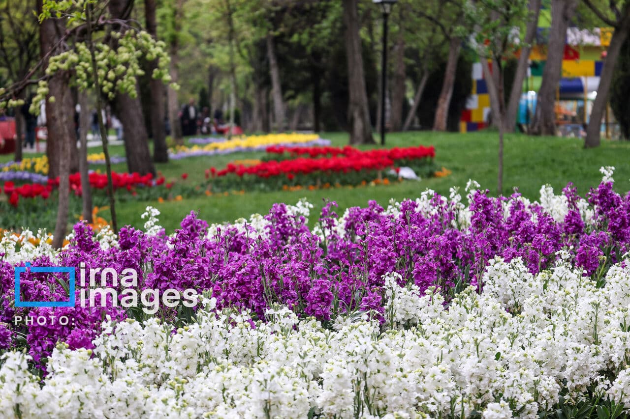 تصویر خبر: ۲۴۰۰ میلیارد ریال برای توسعه و نگهداری فضای سبز بجنورد اختصاص یافت