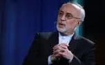 تصویر خبر: علی‌اکبر صالحی: از مسیر صلح حدیبیه می توان به فتح مکه رسید