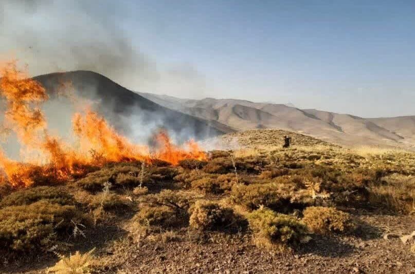 تصویر خبر: مرادی: حریق در ۲ هزار مترمربع از مراتع دیواندره مهار شد