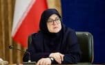 تصویر خبر: مهاجرانی: دولت بدنبال گره‌گشایی و رفع مشکلات موجود در مسیر تولید است