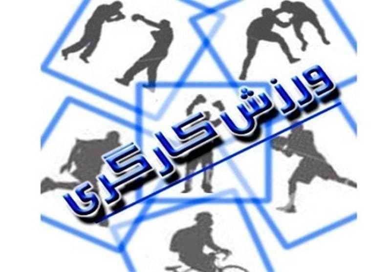 تصویر خبر: هاشمی: ورزش کارگری یزد باید از برنامه‌های مناسبتی عبور کند