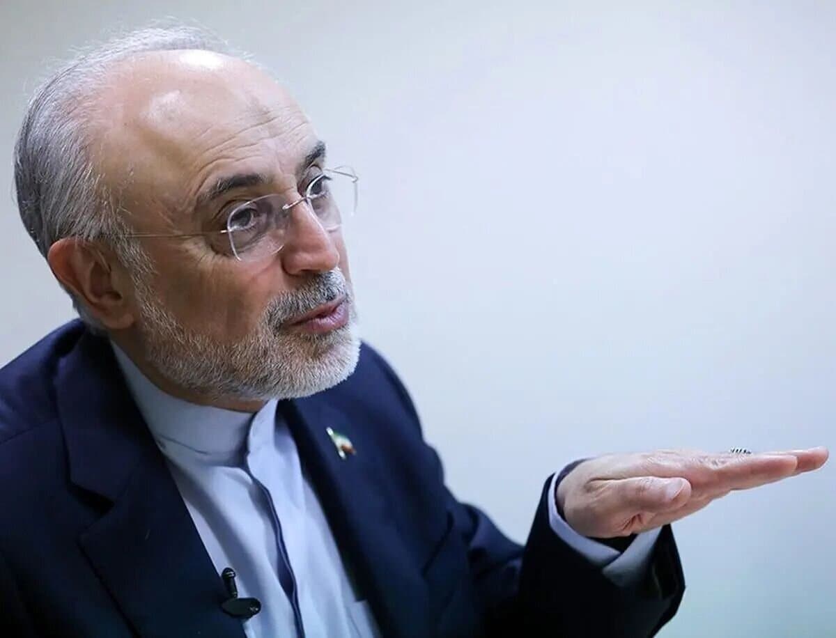 تصویر خبر: علی‌اکبر صالحی: میراث تاریخی پلی میان ملت‌ها و دیپلماسی، پلی به سوی آینده مشترک است