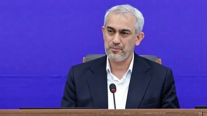 تصویر خبر: مدنی‌زاده: جریان بازگشت ارز تراستی‌ها برقرار است