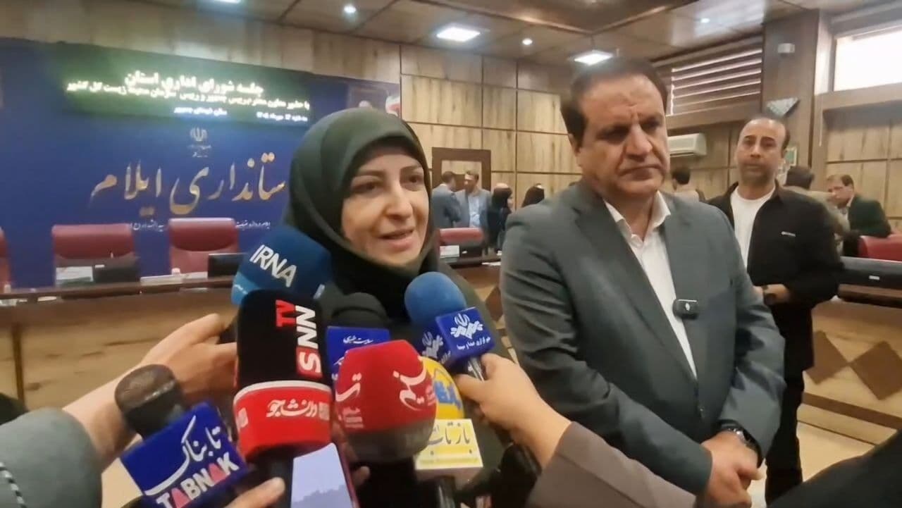 تصویر خبر: انصاری: تفاهم‌نامه همکاری محیط‌زیستی با عراق امضا می‌شود
