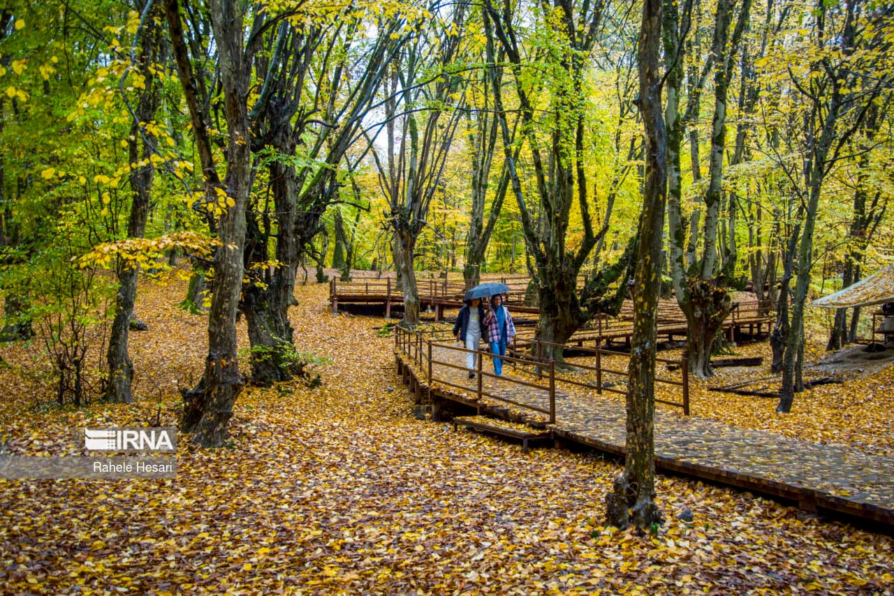 تصویر خبر: رونمایی از تابلوهای تفسیری در پارک جنگلی النگدره گرگان
